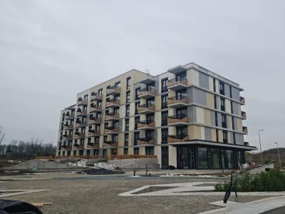 1-image1