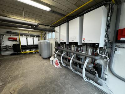 7-IMG4517