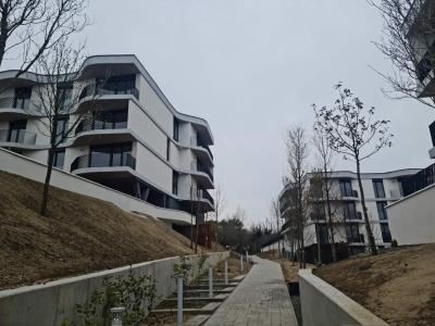 2-image21