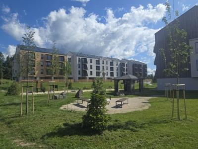 5-pohad
