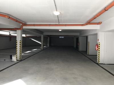 BDP6